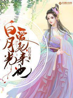 破碎的动物图形2